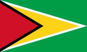 Guyana flag
